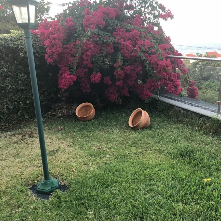 Lovely Sea View 3-Bed House In P Delgada Madeira Ponta Delgada  Exterior foto